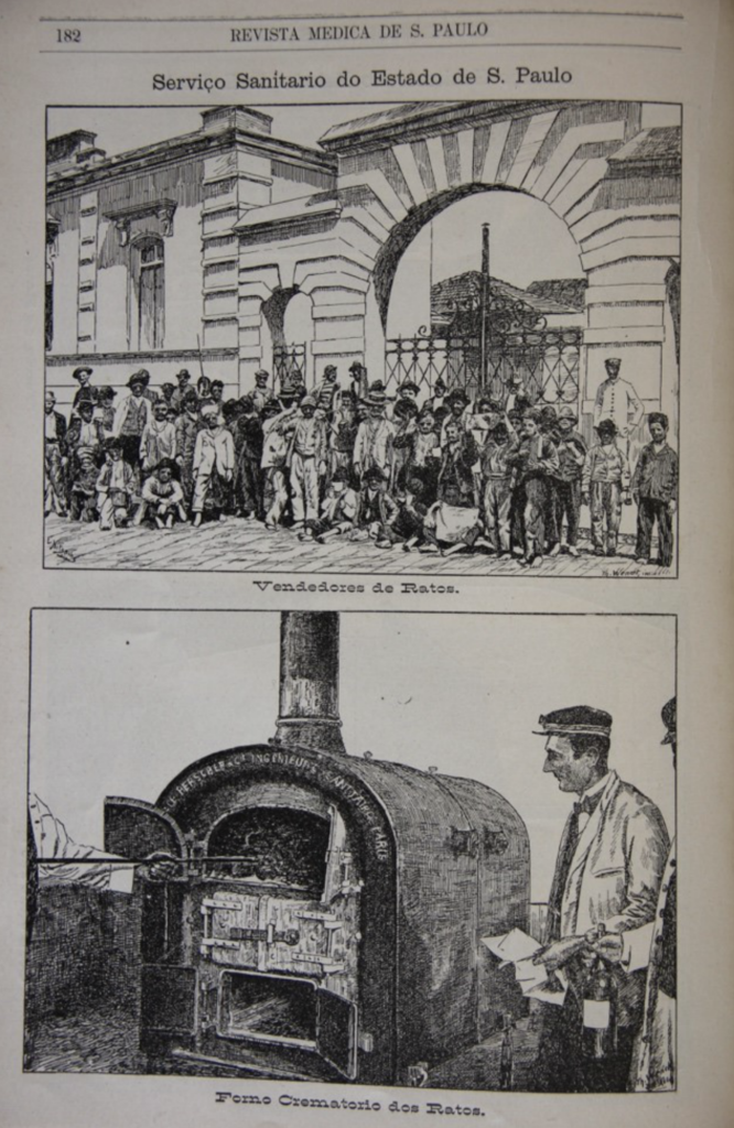 Image of page 182 from Revista Medica De S. Paulo